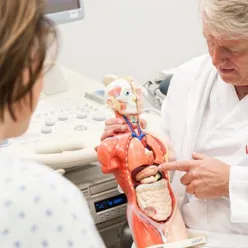 En lege som viser mage-tarmsystem for pasient med modell.