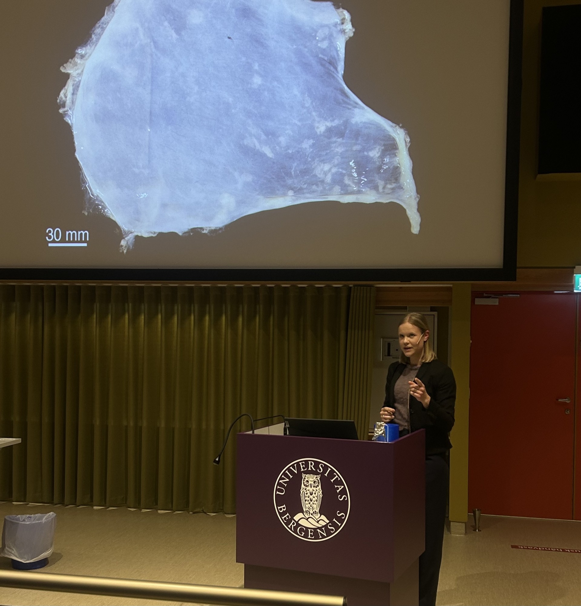 En person som står ved en talerstol