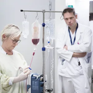 stamcelle helsepersonell.foto