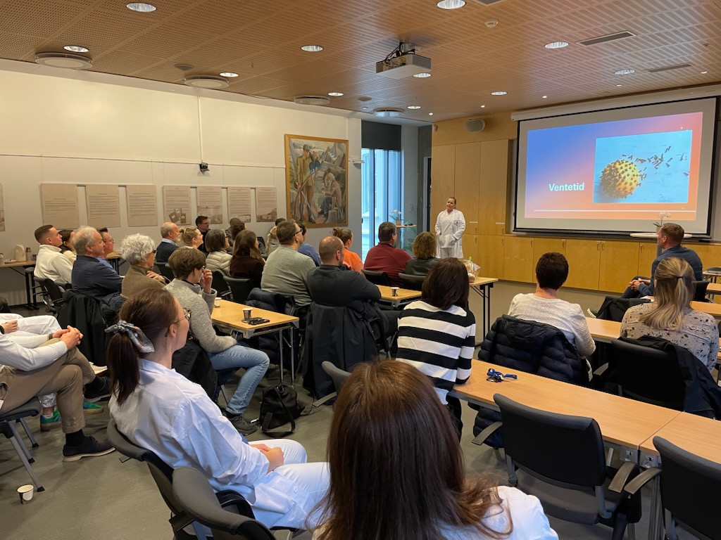 En person som holder en presentasjon for en gruppe mennesker