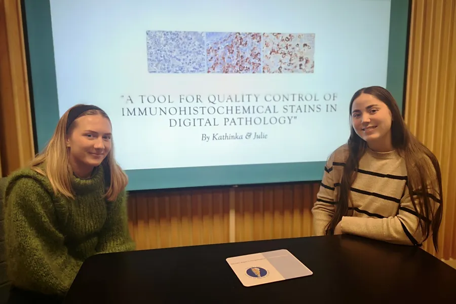 Et par kvinner som sitter ved et bord med en projektorskjerm bak seg