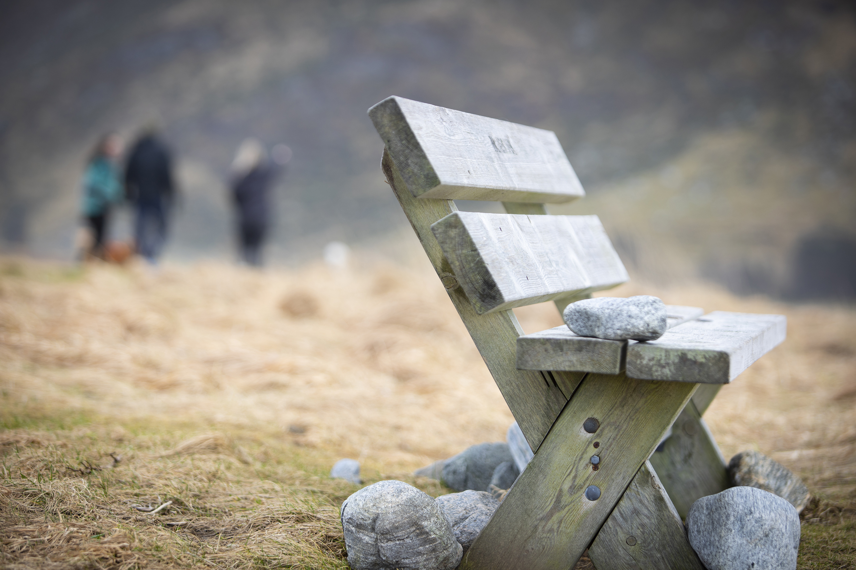 En benk står ubebodd;