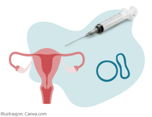 En injeksjonssprøyte og bildet av en livmor