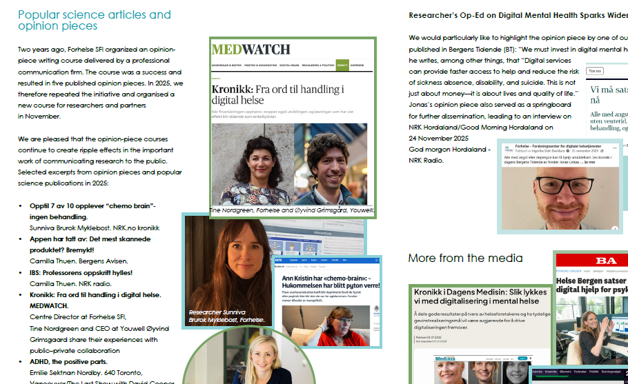 Grafisk brukergrensesnitt, nettside