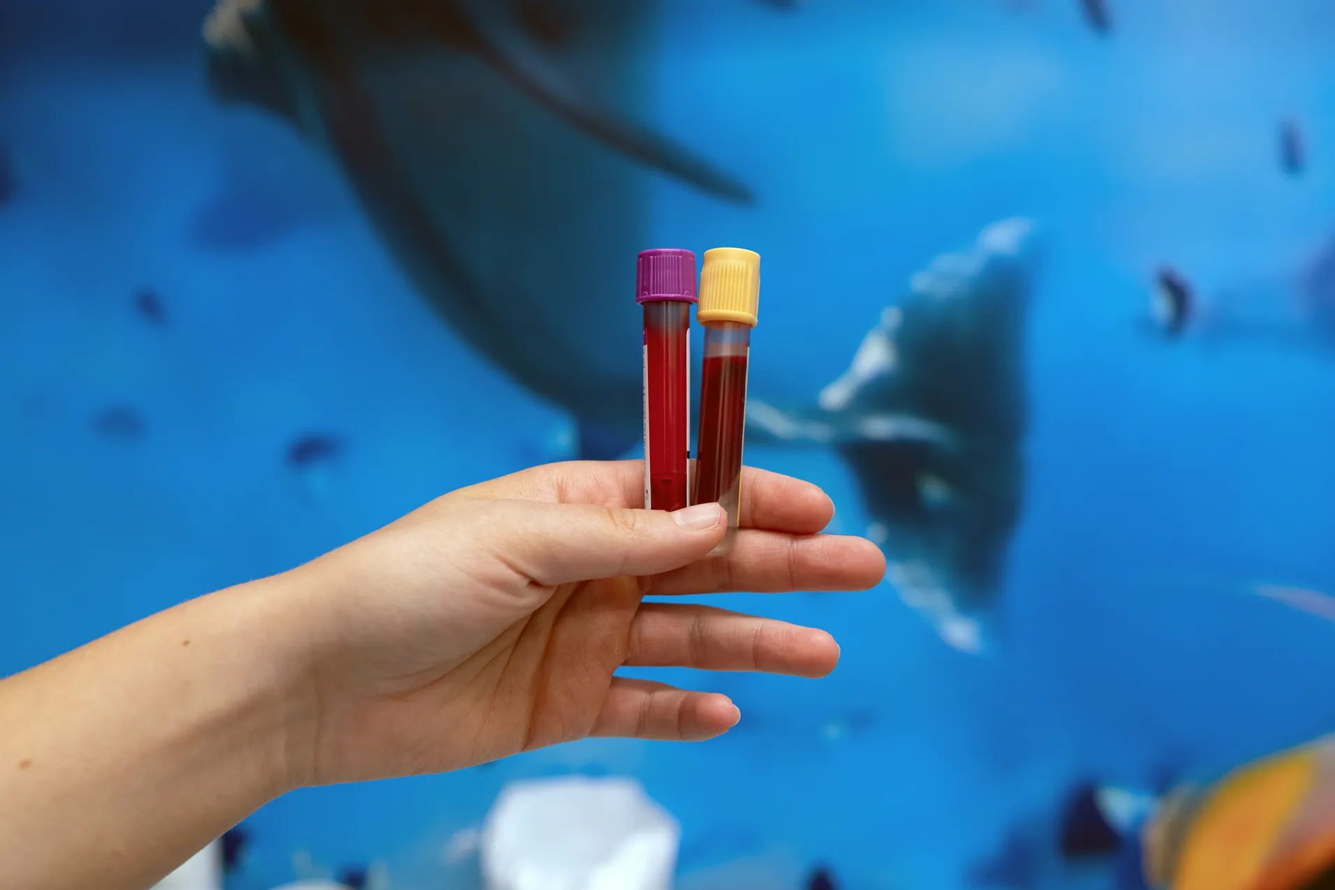 En person som holder en liten rød og gul gjenstand