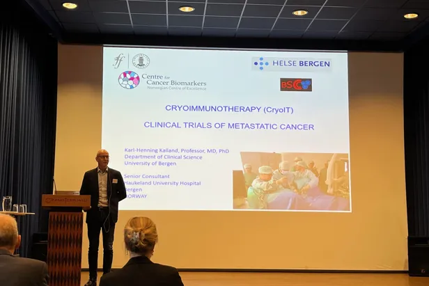 A person giving a presentation