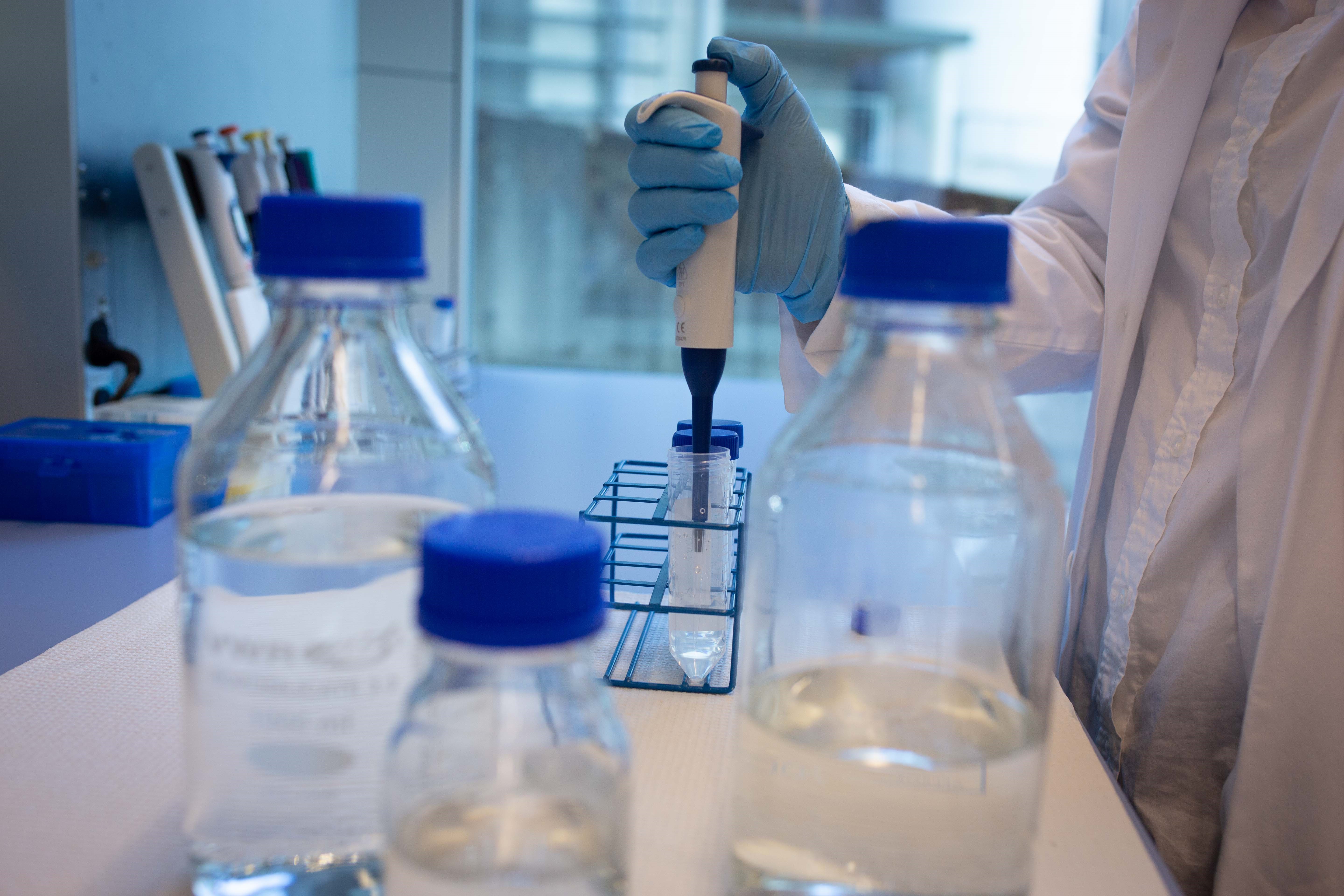 En gruppe plastflasker