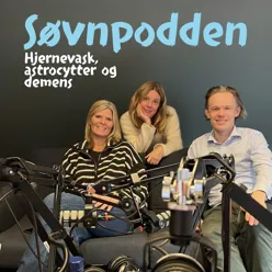 En gruppe mennesker som sitter i sofa