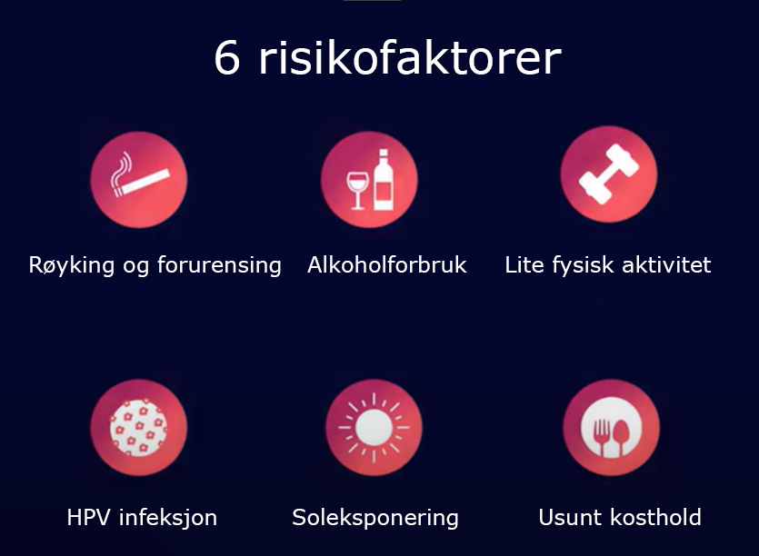 Grafisk brukergrensesnitt, applikasjon