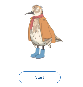 En fugl med langt nebb