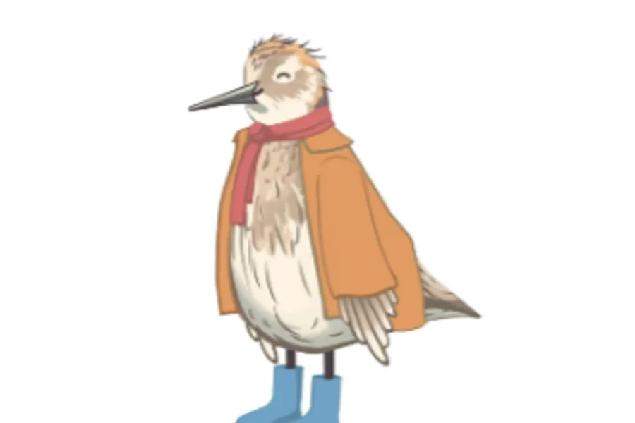 En fugl med langt nebb