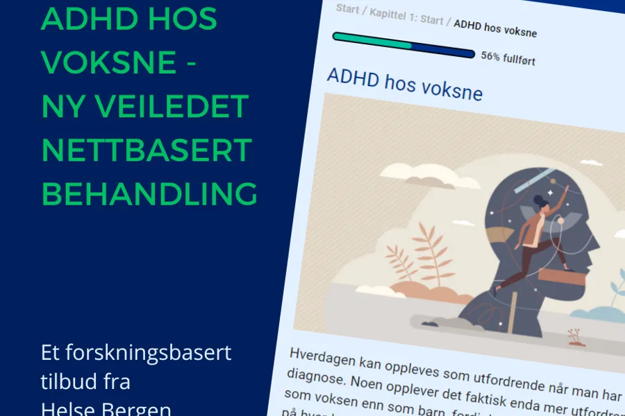 Grafisk brukergrensesnitt, tekst, applikasjon, chat eller tekstmelding