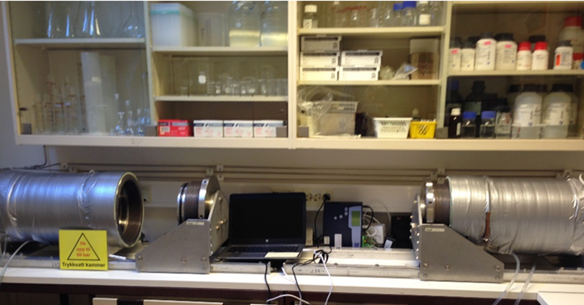 Hyperbaric Cell Lab - Helse Bergen HF