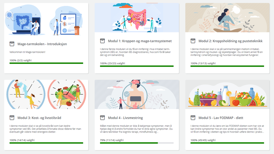 Grafisk brukergrensesnitt, applikasjon, nettside