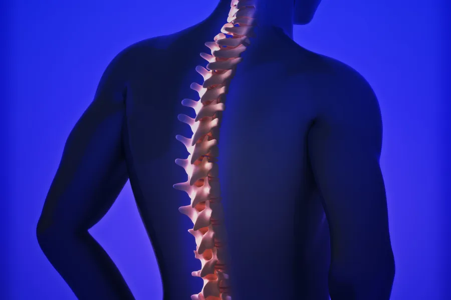 Illustrasjon som viser ryggraden til et menneske