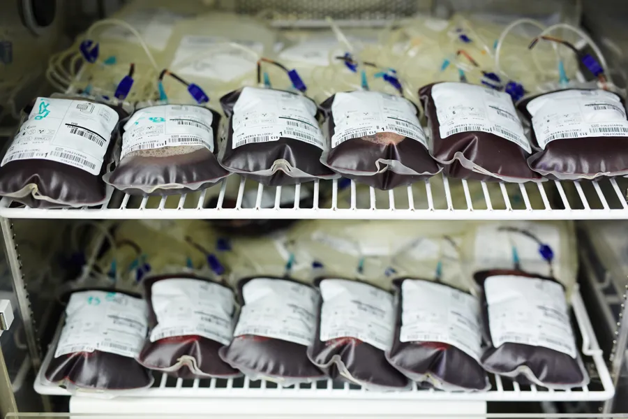 Multiple blood bags lying on a shelf
