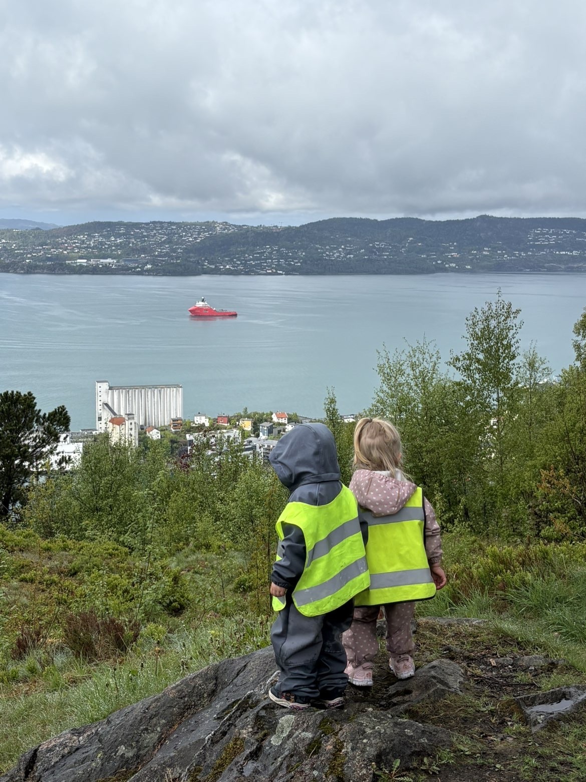 To barn som står på en stein med utsikt over et vannområde