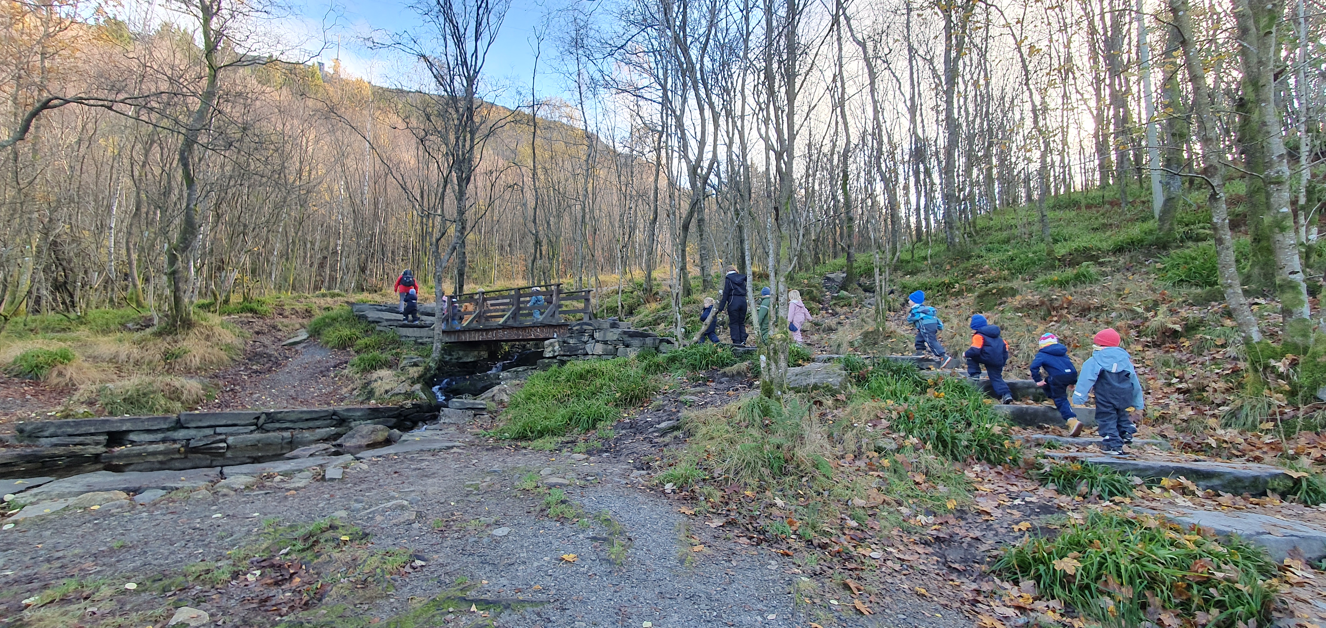 Barn som går på tur i skogen