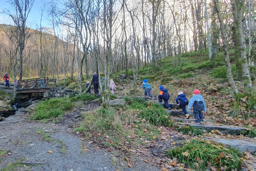 Barn som går på tur i skogen
