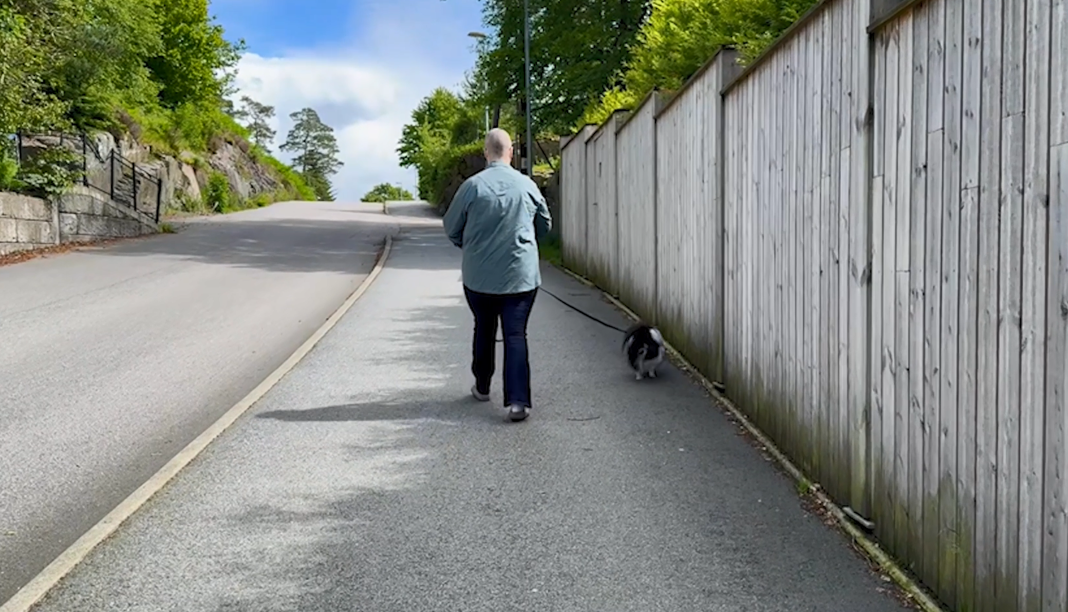 En kvinne som går tur med en hund på veien