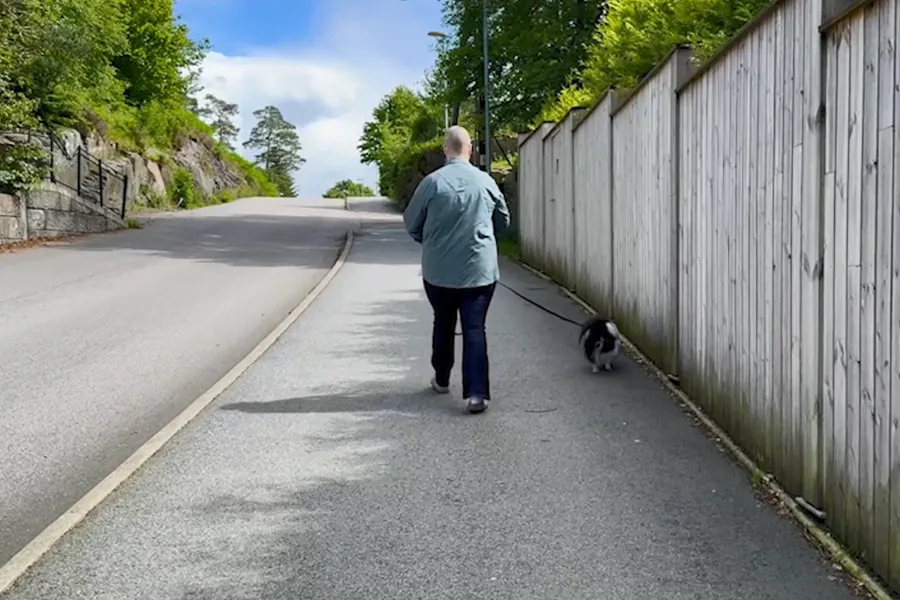 En kvinne som går tur med en hund på veien