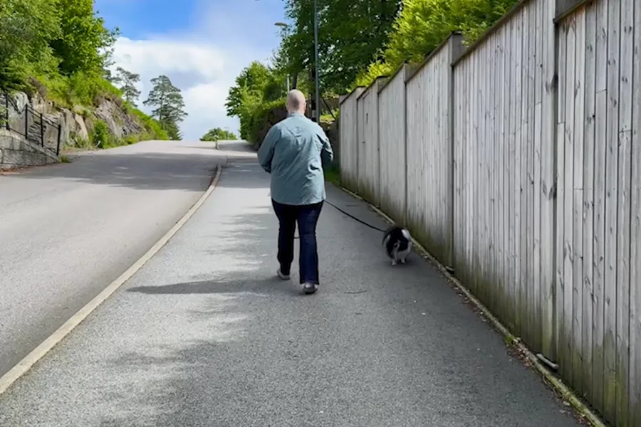 A woman walking a dog on a road