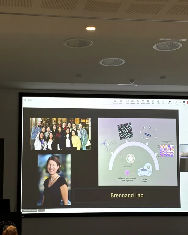 A television screen with a person on it