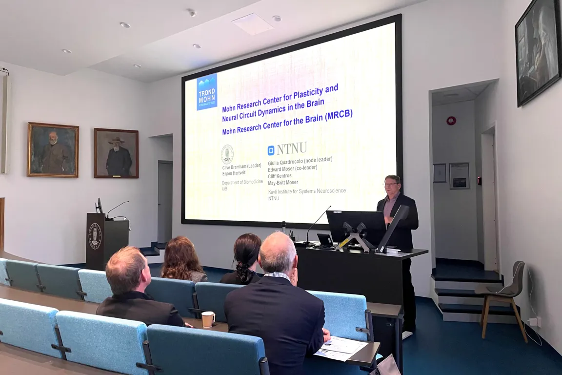 A person giving a presentation