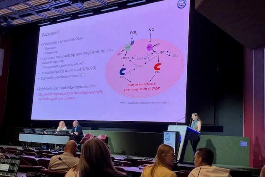 A person giving a presentation