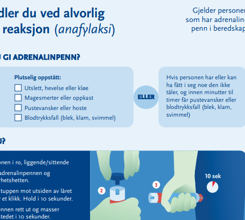 Utklipp frå anafylaksiplakaten som viser kva ein skal gjere ved ein alvorleg anafylaksi. Det står at dette gjeld personar som har adrenalin penn. Og det er lista opp symptom som plutseleg har oppstått: utslett mm, magesmerte eller oppkast, pustevanskar eller hoste og blodtrykksfall. Eller hvis personen har fått i seg noko dei ikkje tåler og får symptom innan kort tid. Bilete illustrerar at personen må ligge i ro og viser korleis ein set adrenalinpenn på utside lår.