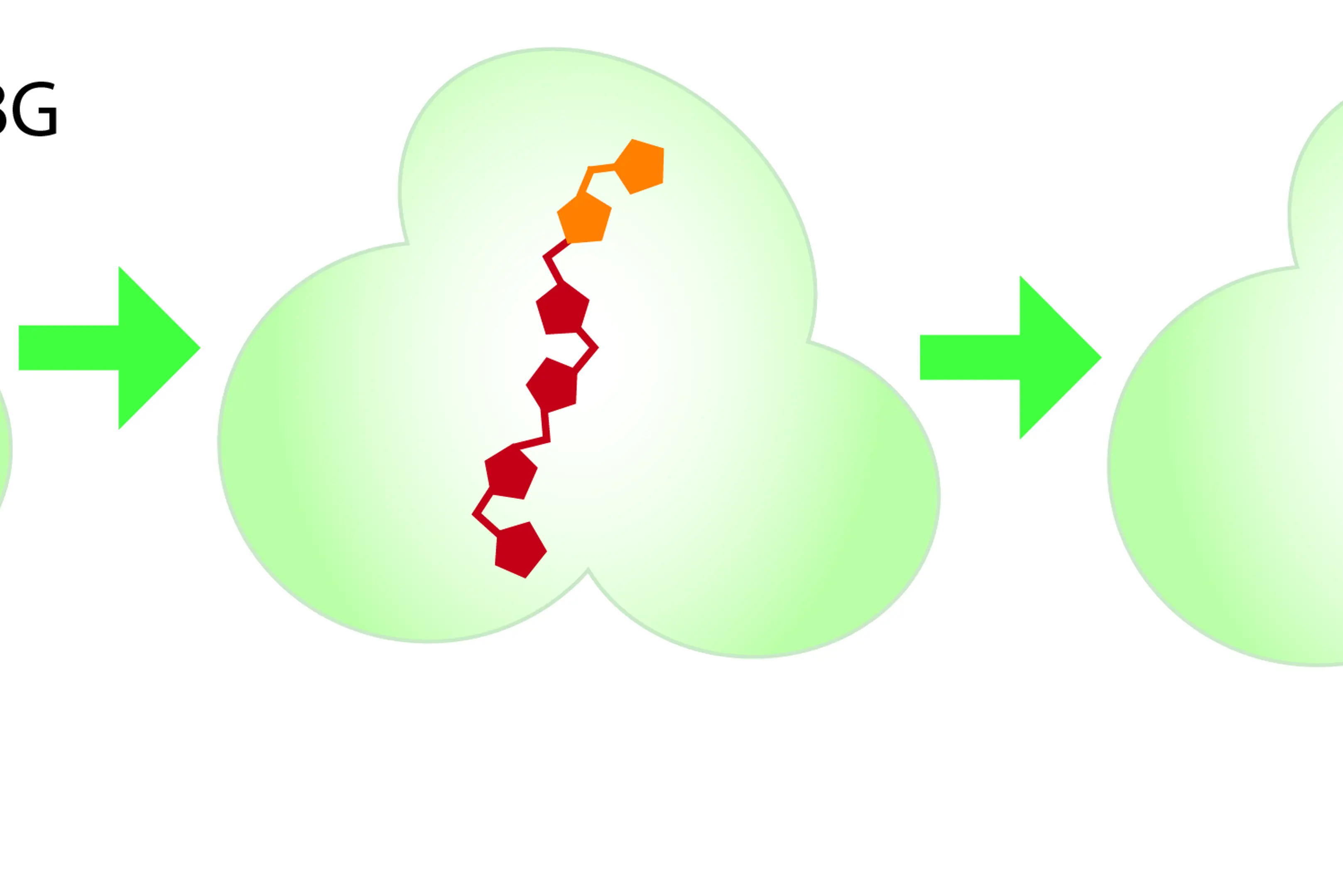 Schematic models HMBS.jpg