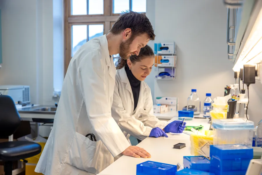 To forskarar som står på labben og arbeider.