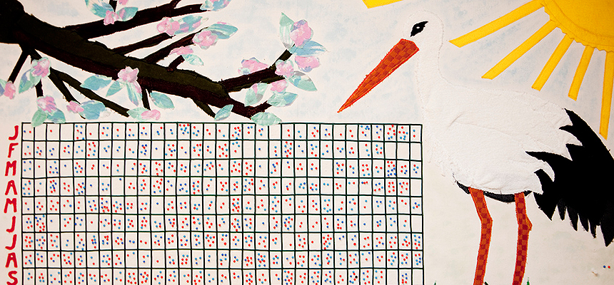 Månedsvis oversikt over jente- og guttefødsler på avdelingen. Foto