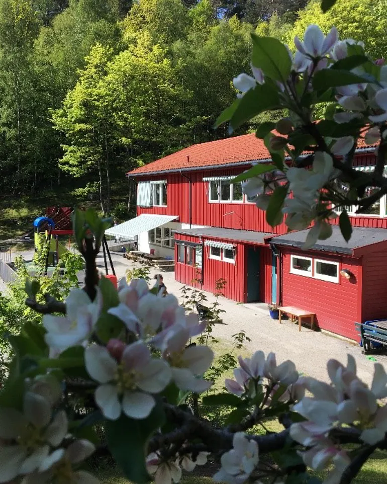 En gruppe blomster foran et rødt hus