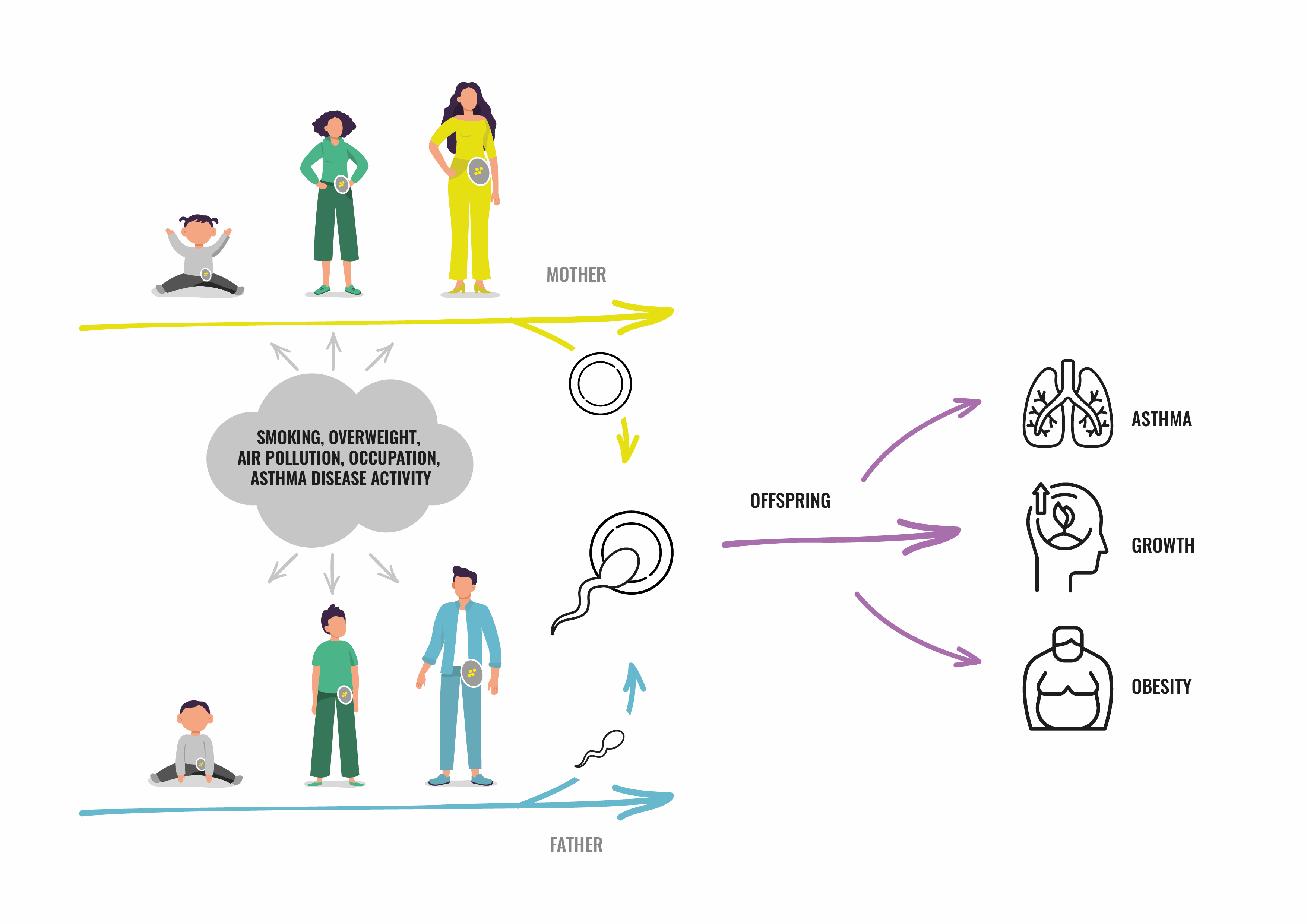 Visualisation of Rhinessa's research. Graphics