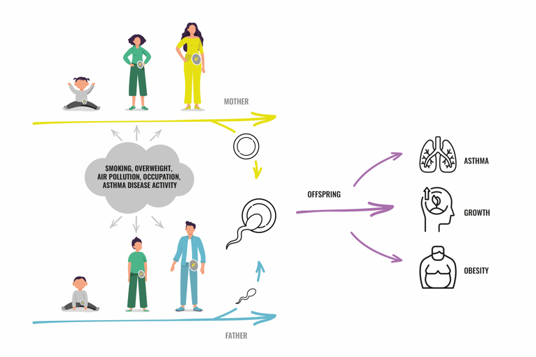 Visualisation of Rhinessa's research. Graphics