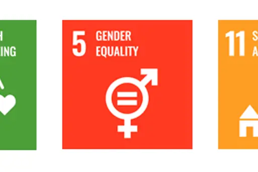 Illustration UN sustainable development goals 3, 5 and 11.