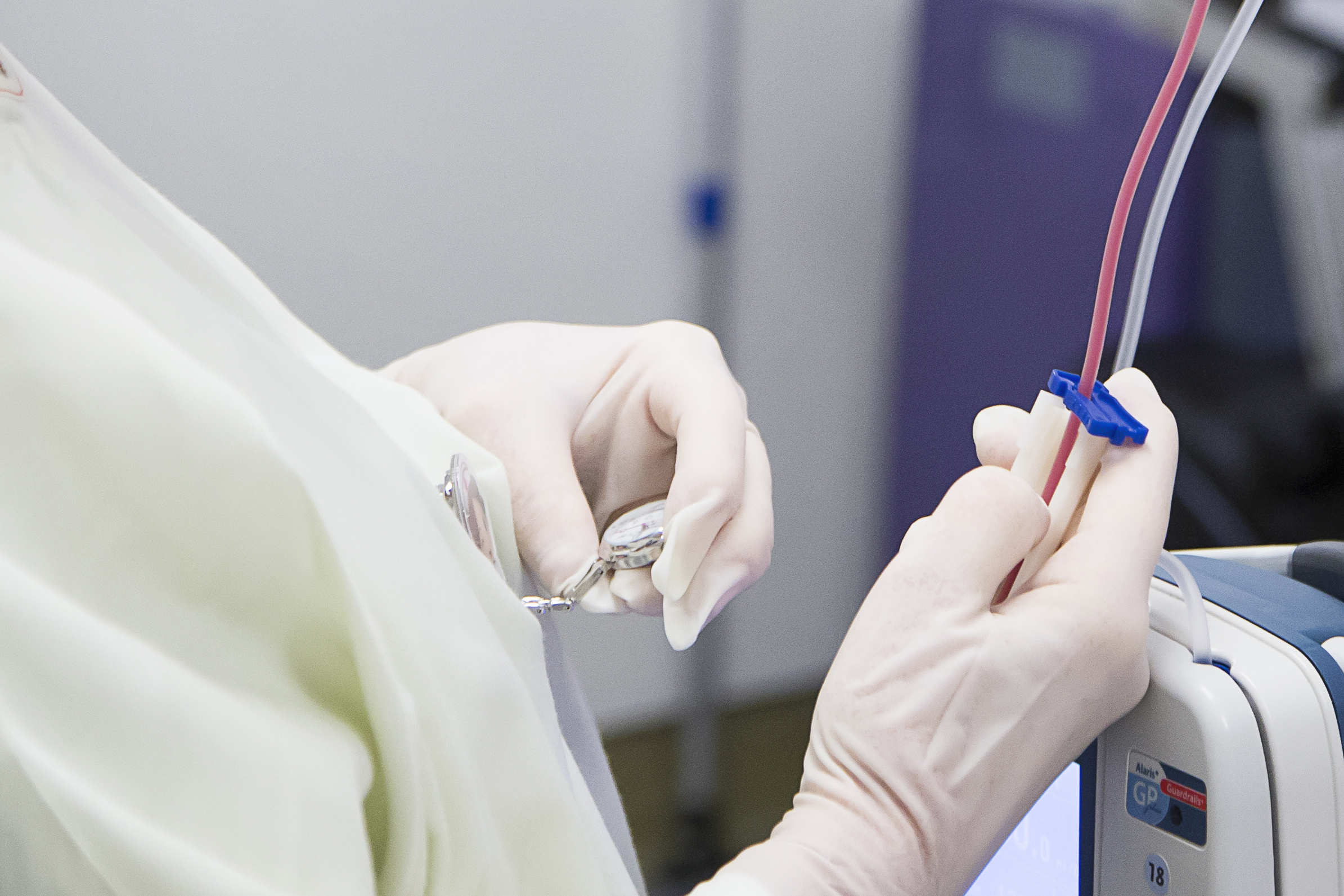 stamcelle klokke.foto