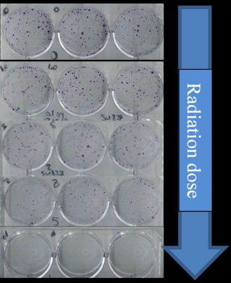 En gruppe plastbeholdere