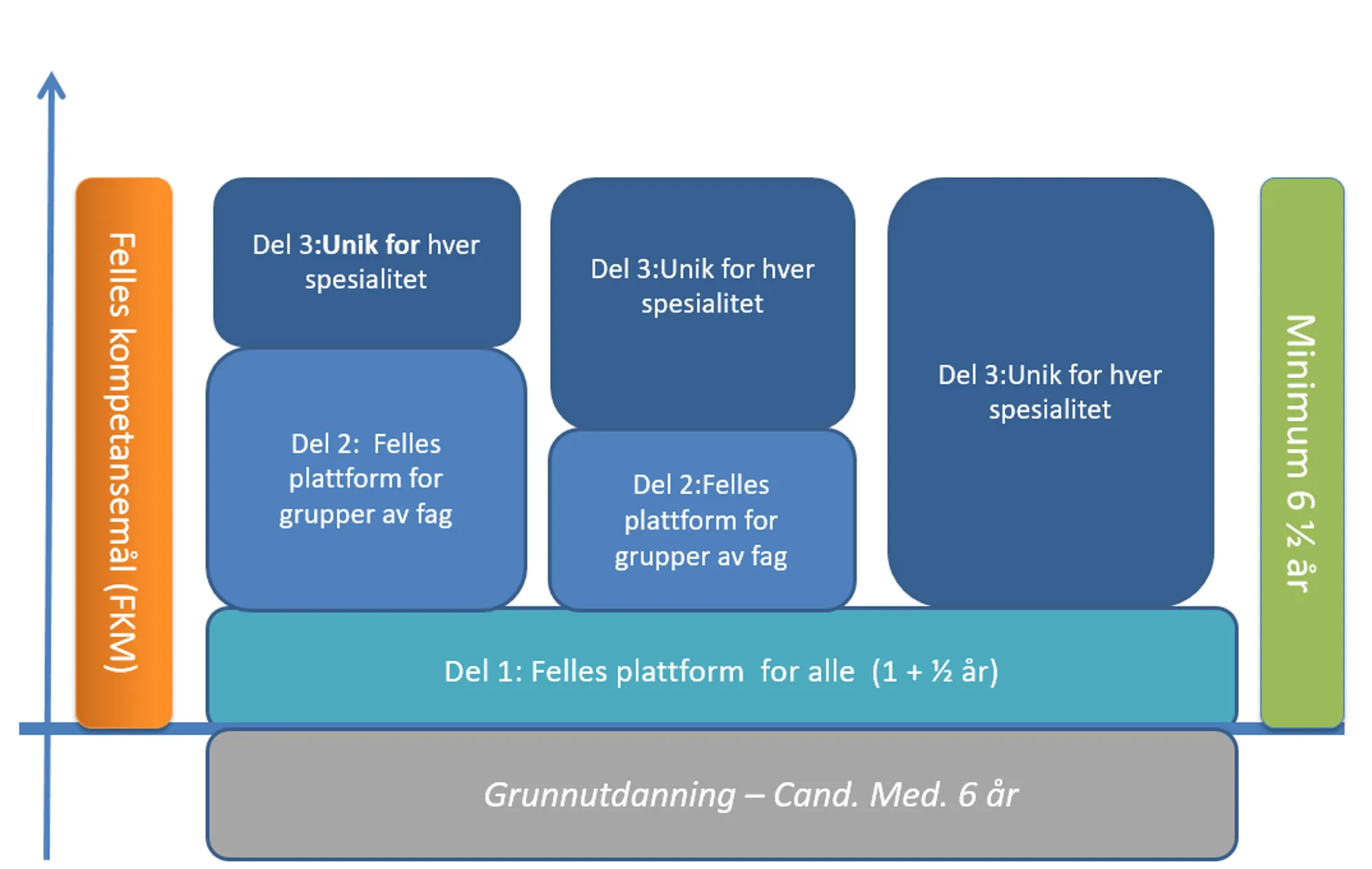 Modell som viser utdanningsløp fra grunnutdanning til ferdig spesialist. Illustrasjon