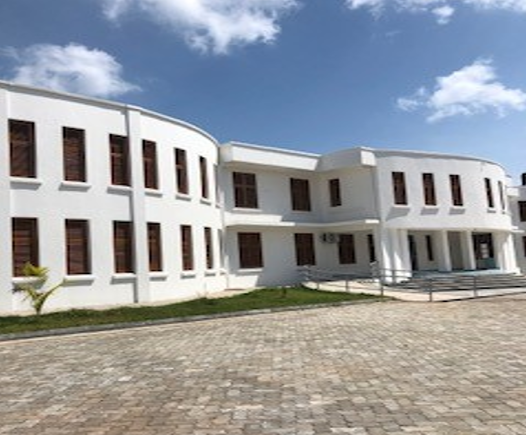 Eksteriør sykehusbygg Kidongo Chekundu Mental Hospital, hvitt bygg, inngangsparti, brostein. Foto