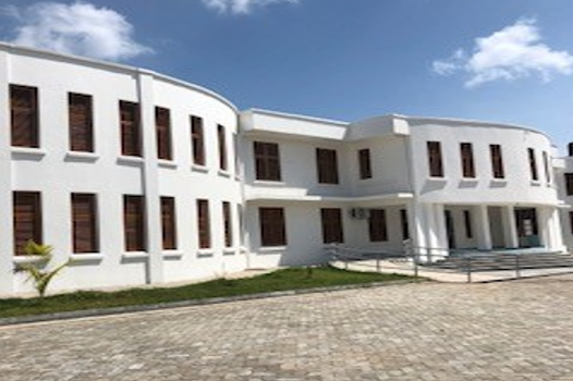 Eksteriør sykehusbygg Kidongo Chekundu Mental Hospital, hvitt bygg, inngangsparti, brostein. Foto