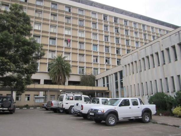 Foto. Eksteriør sykehusbygg, palmer og andre trær, parkerte bilar utanfor.