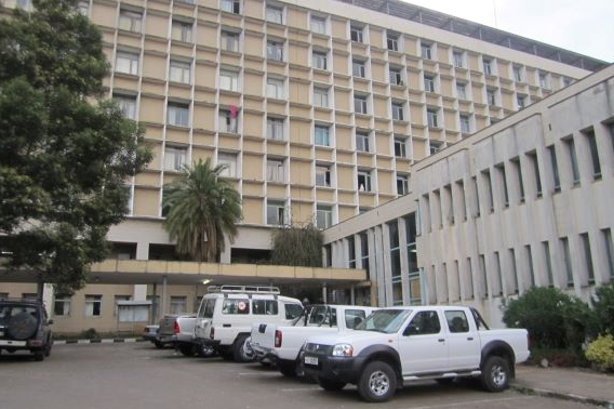 Foto. Eksteriør sykehusbygg, palmer og andre trær, parkerte bilar utanfor.