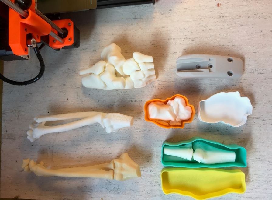 3D modeller av ulike bein og knokler. Foto
