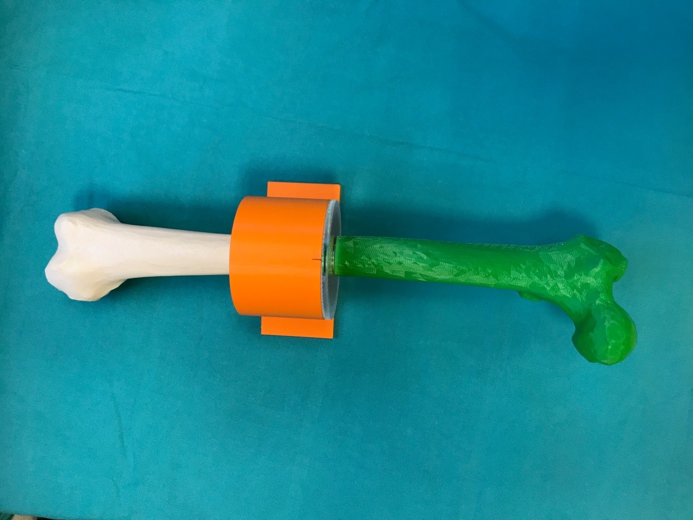 3D modell lårbein. Foto