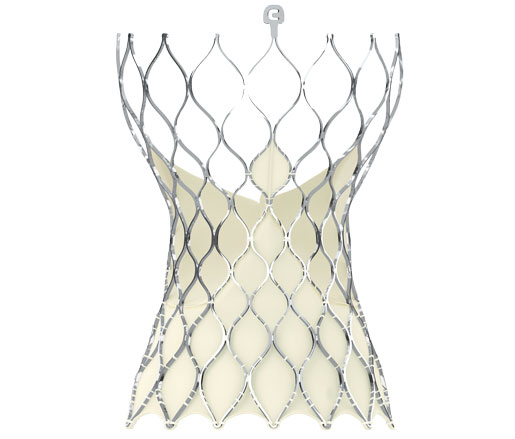 1) CoreValve Evolut R