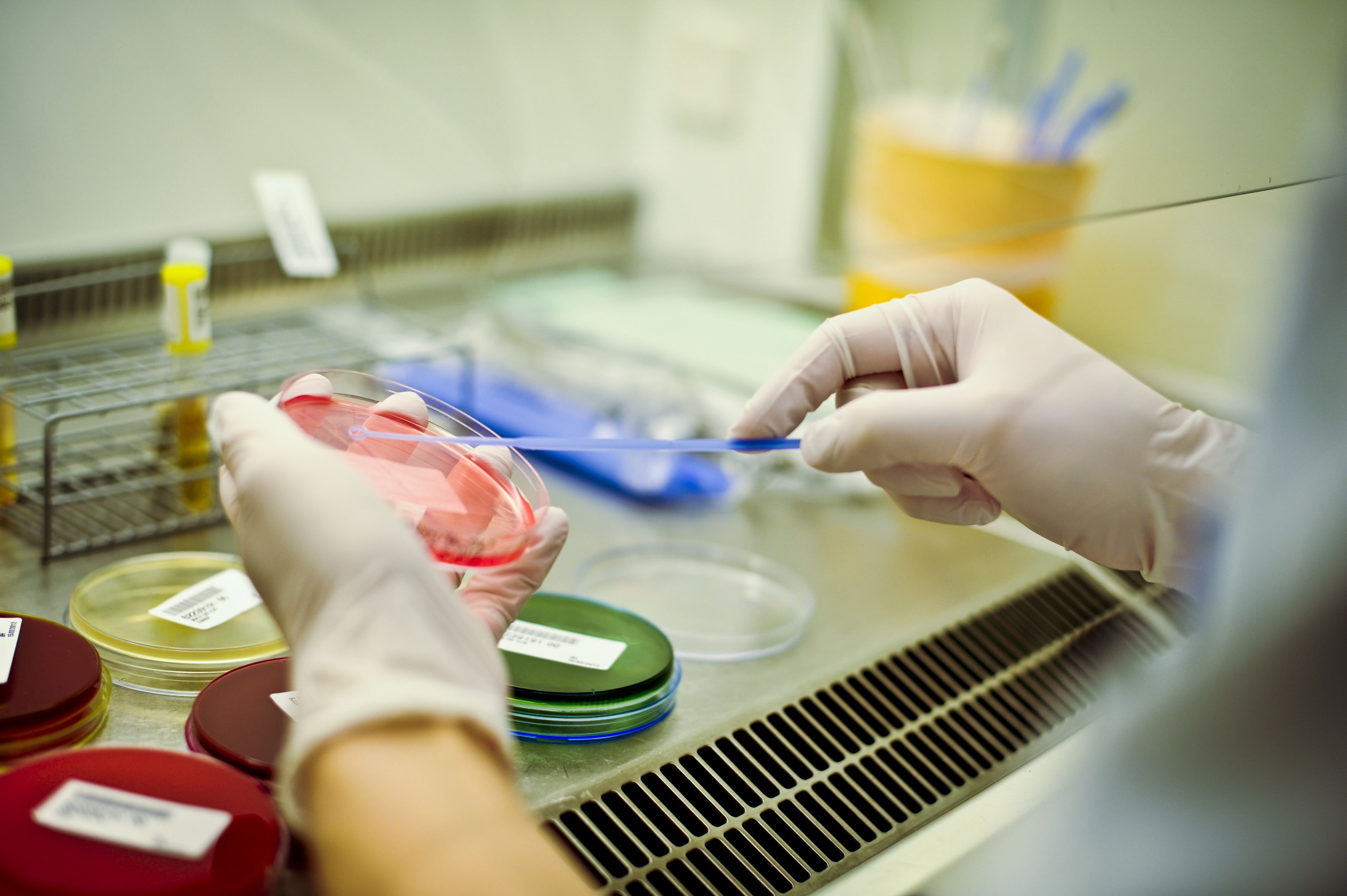 Laboratorieprøver. Foto