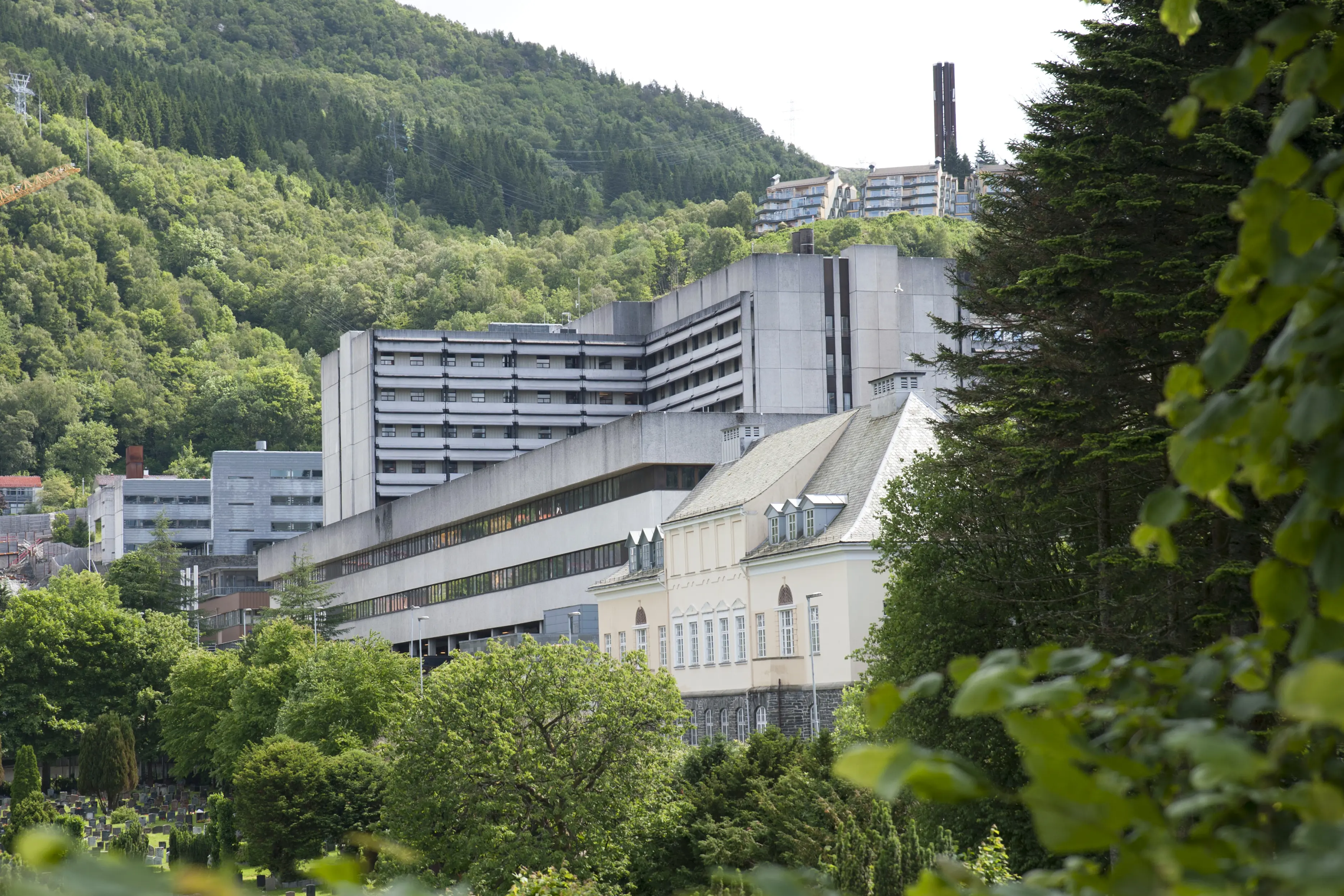 Oversiktsbilde Sentralblokka sett fra Kvinneklinikken. Foto