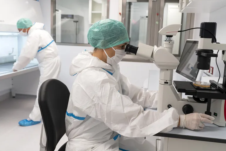 Employees in Ex vivo facility, looking in microscope. Photo